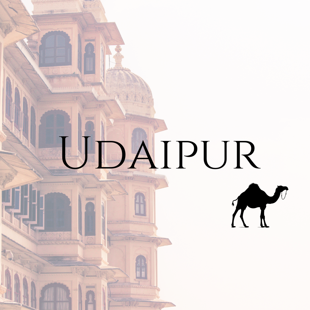 udaipur image